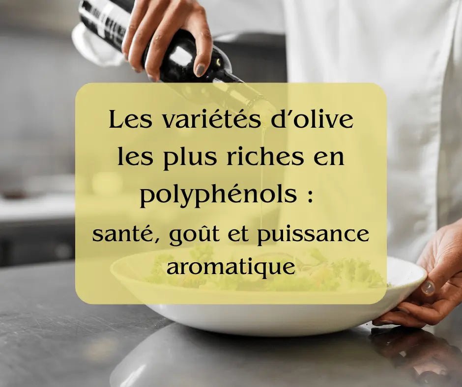 Les variétés d’olive les plus riches en polyphénols : santé, goût et puissance aromatique - Casa Olea