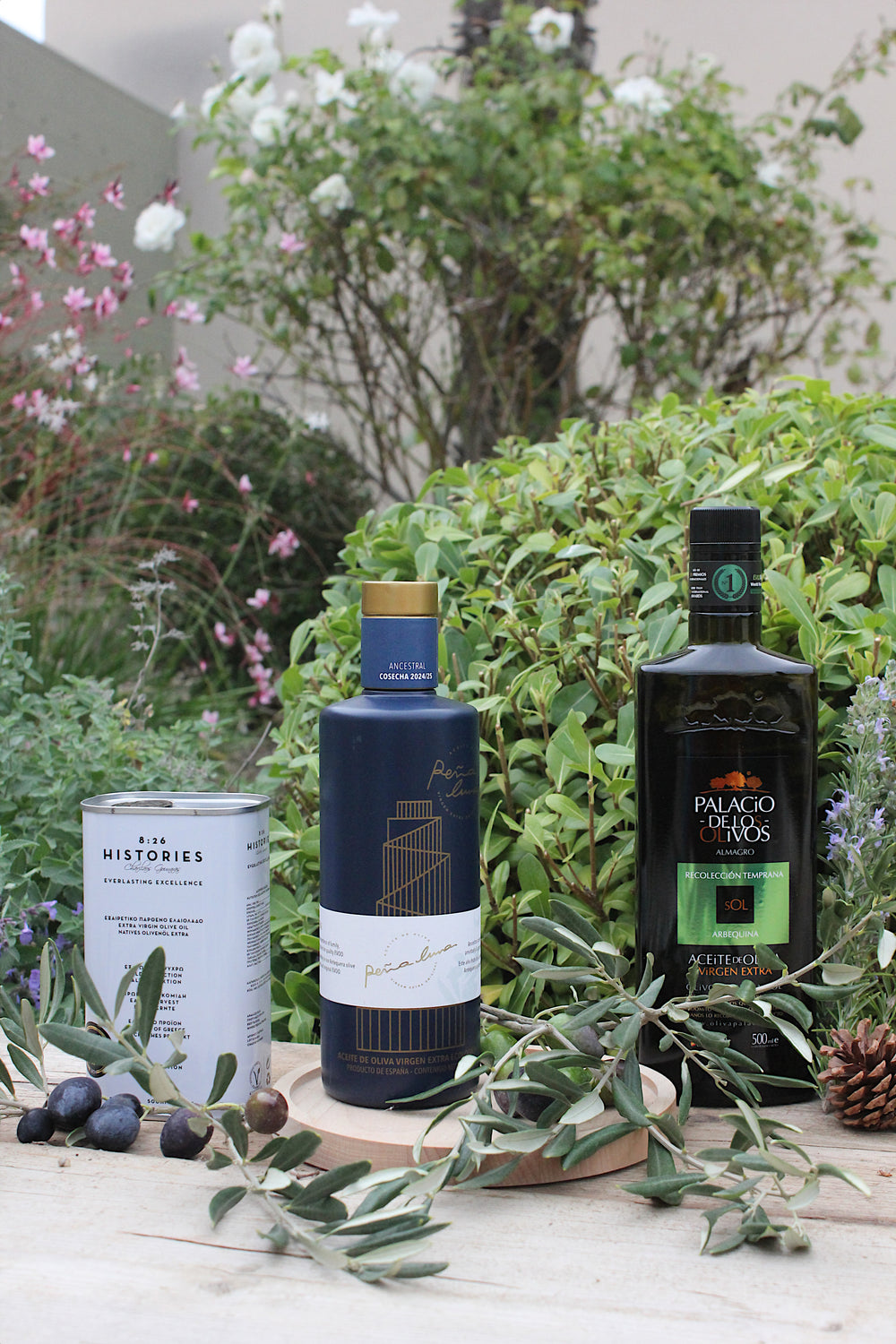 multimedia collage image