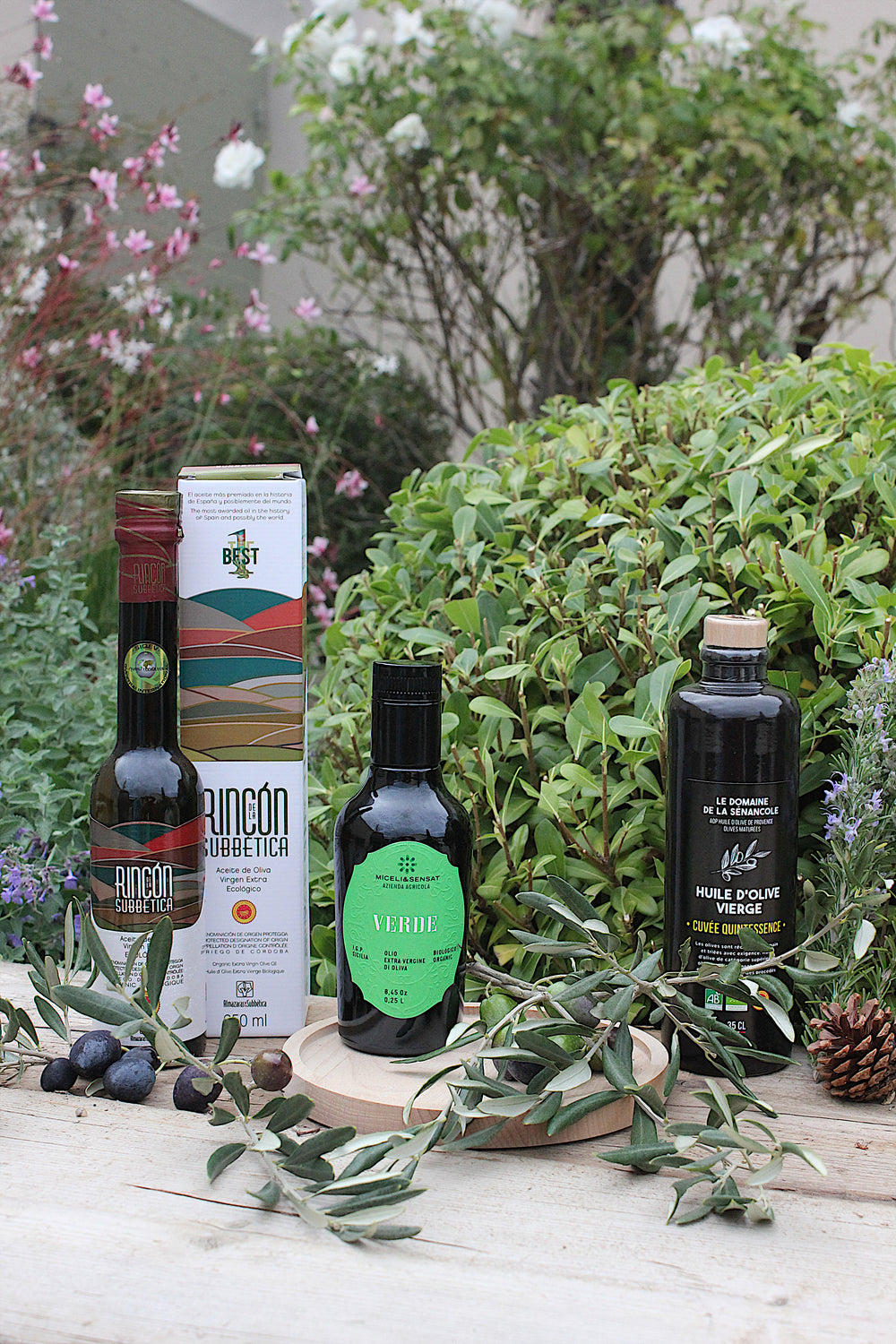 multimedia collage image