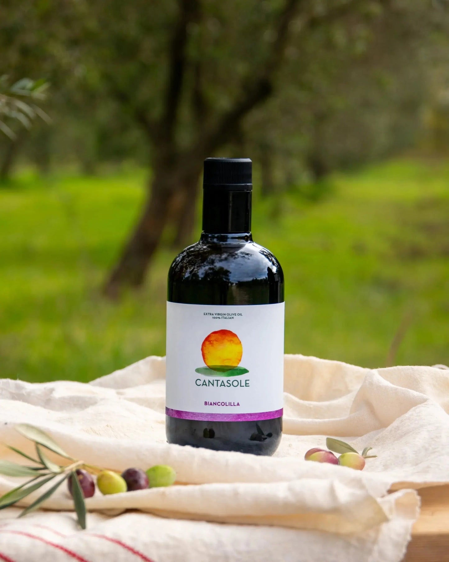 Cantasole - Biancolilla - Casa Olea